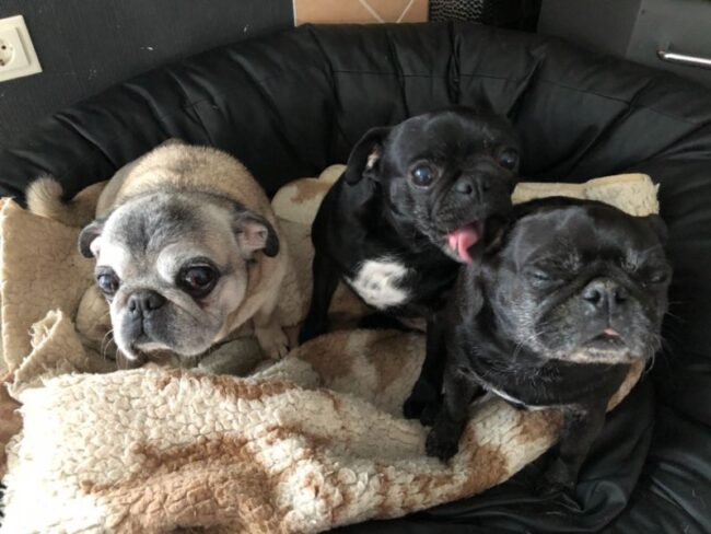 Pfleglinge_Mata_die_drei_von_der_waterkant