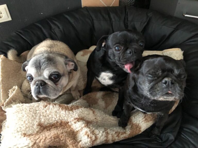 Pfleglinge_Mata_die_drei_von_der_waterkant