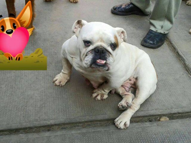 Pfleglinge_Mathilda_1