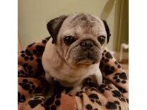 Pfleglinge_Muschu_11