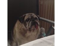 Pfleglinge_fraenki_am_tisch