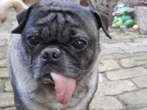 Pfleglinge_manfred_1