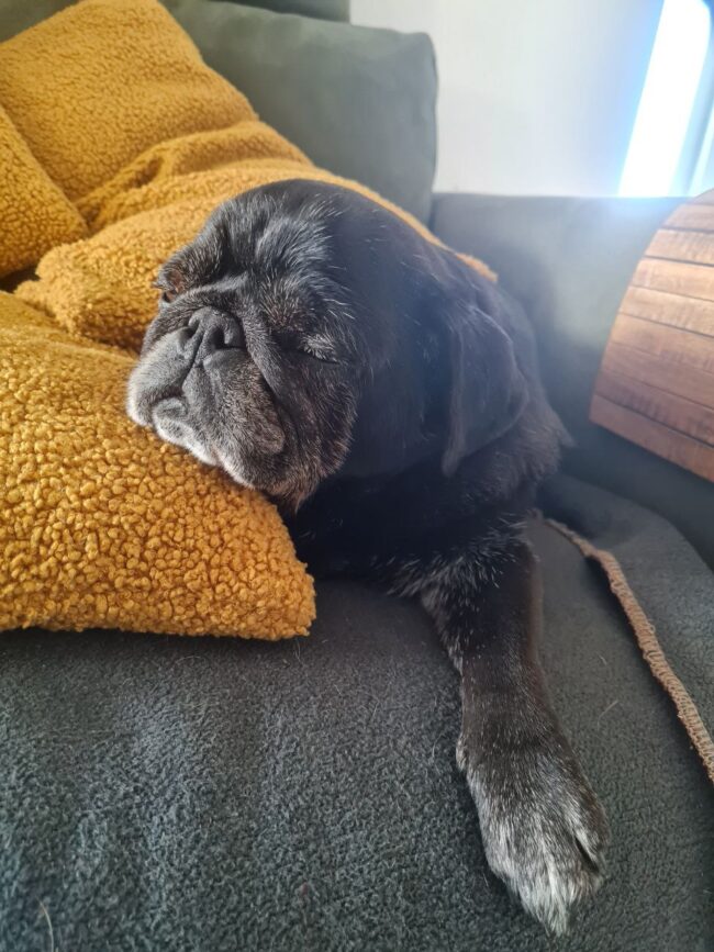 IMG_20220327_214451_627