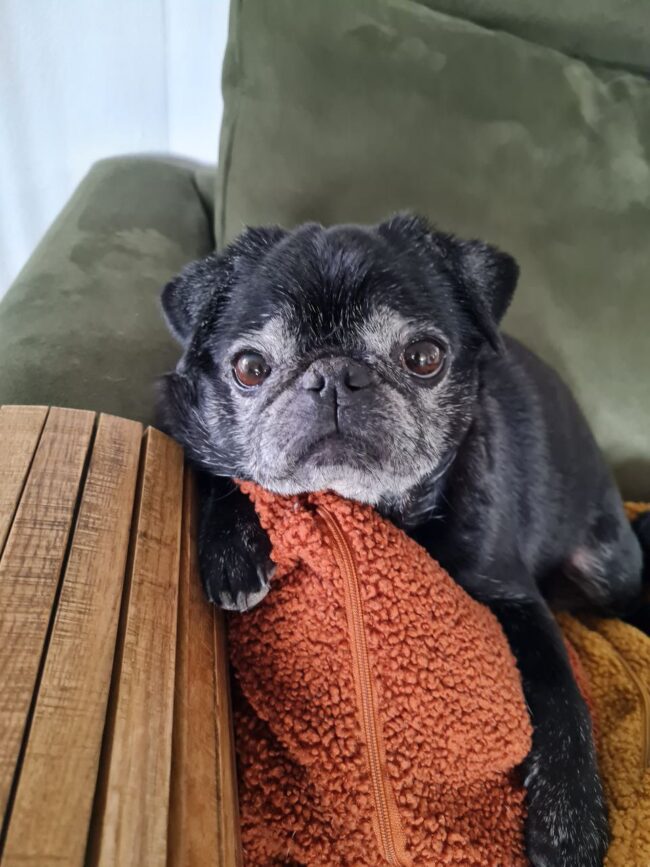 IMG_20220820_133638_850