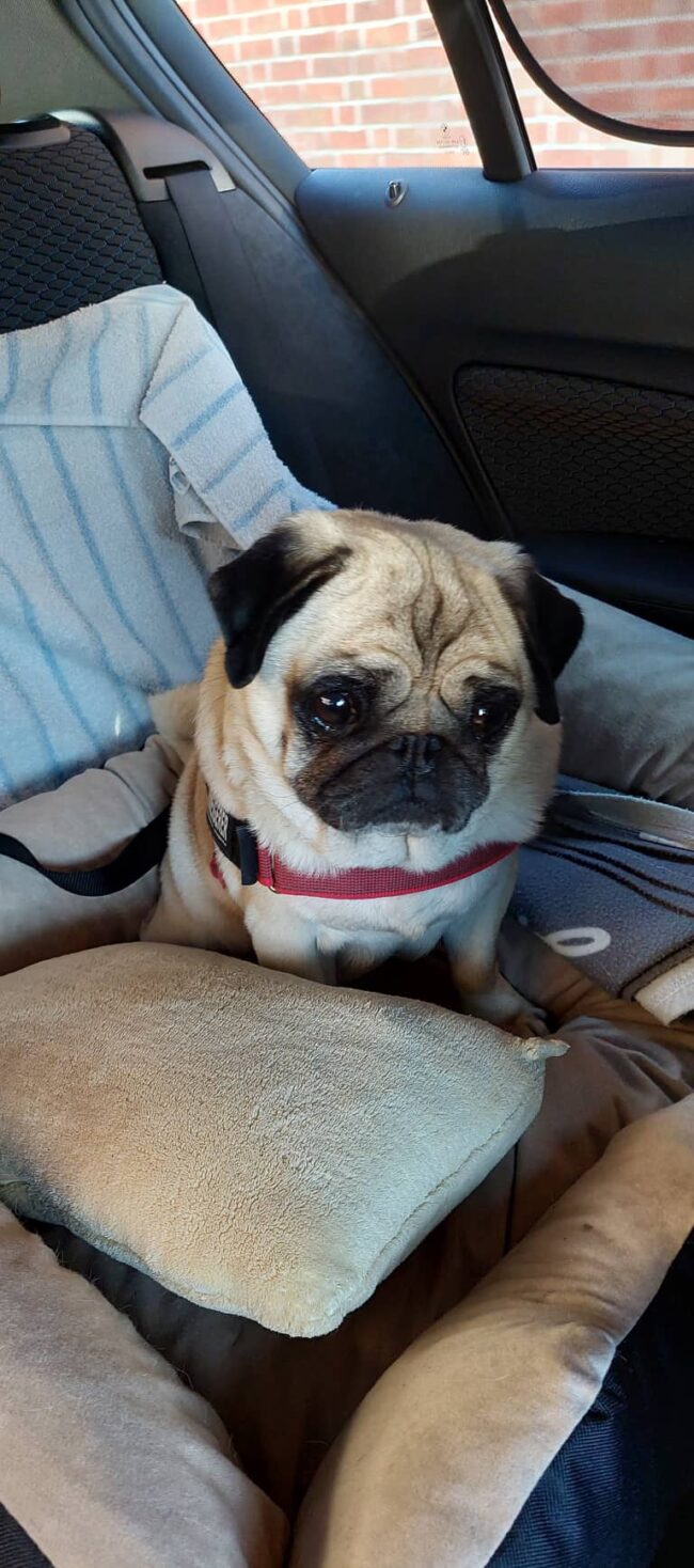 310727995_865291507979273_5228760634704417873_n