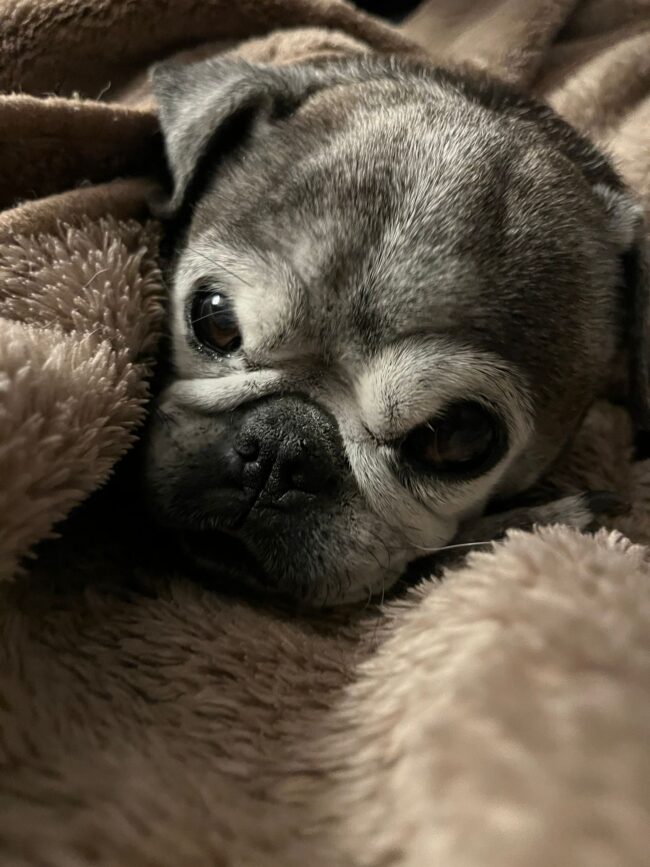 D291ABED-B49D-4B33-A9C7-4C6D2747DF34