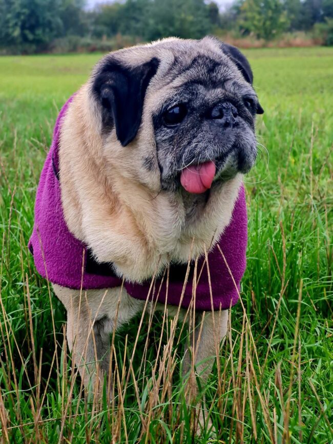 IMG_20221016_084045_376