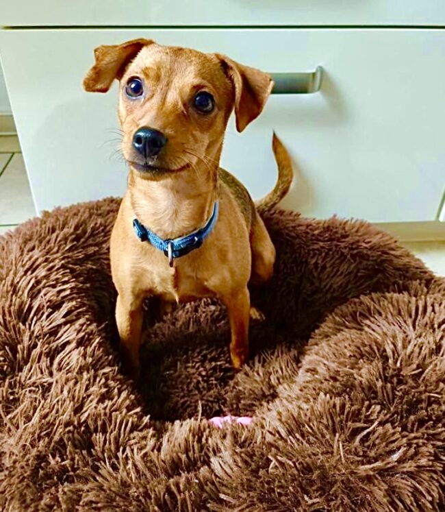 C28439A3-A061-4FA9-8F2A-F34ED54189A8