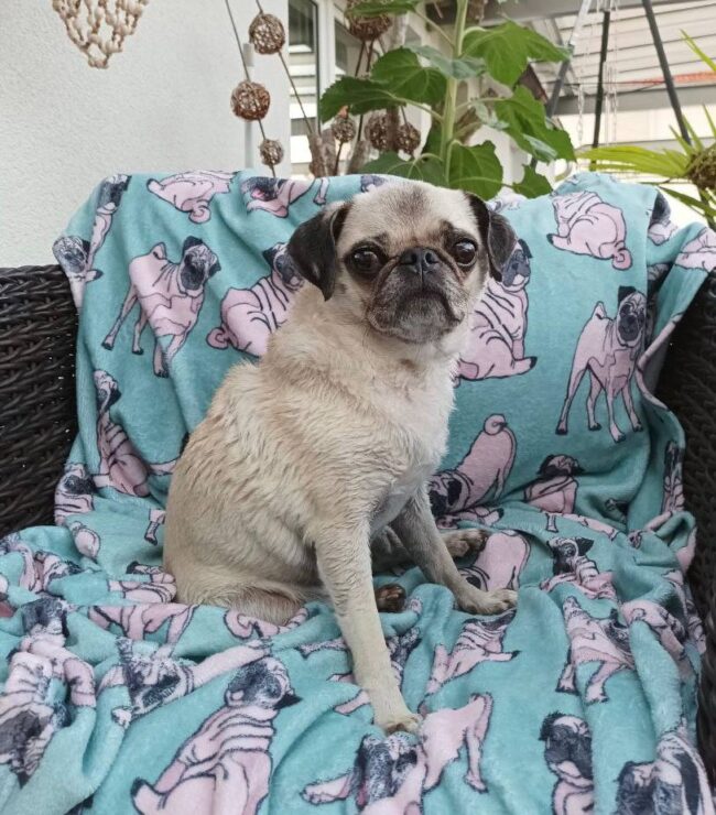 photo_2023-07-13_09-44-08