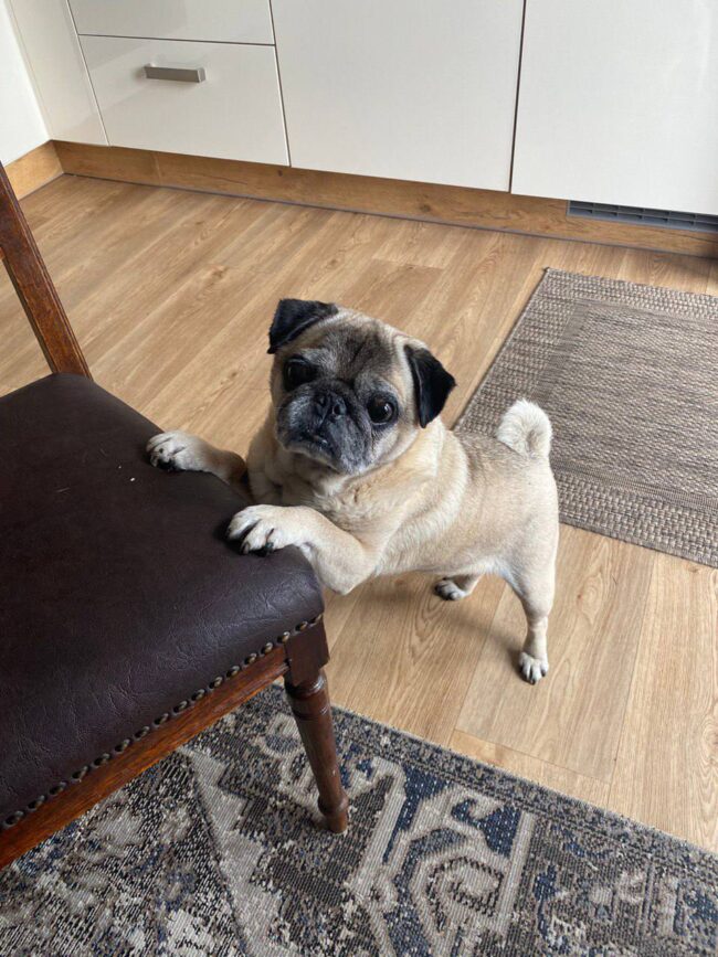 photo_2023-08-08_22-49-26