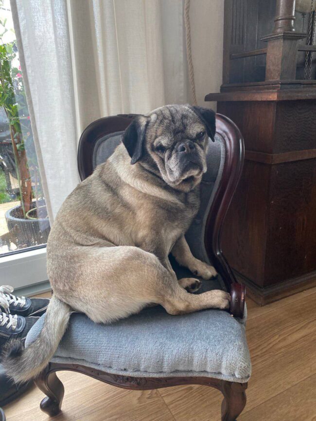 photo_2023-08-13_21-02-06