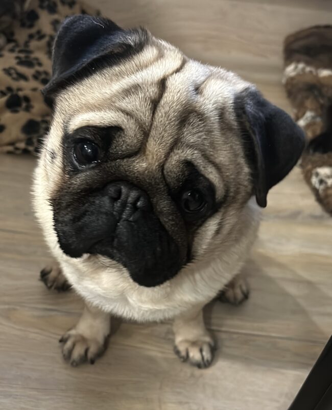 F01F0D9E-B96B-4826-B929-5C551ED11F2F