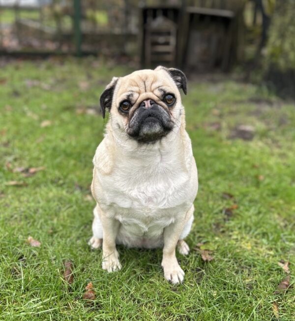 Ellie Ellie