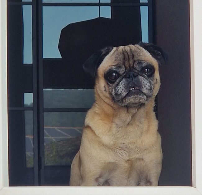 photo_2025-09-07_23-59-10 (2)